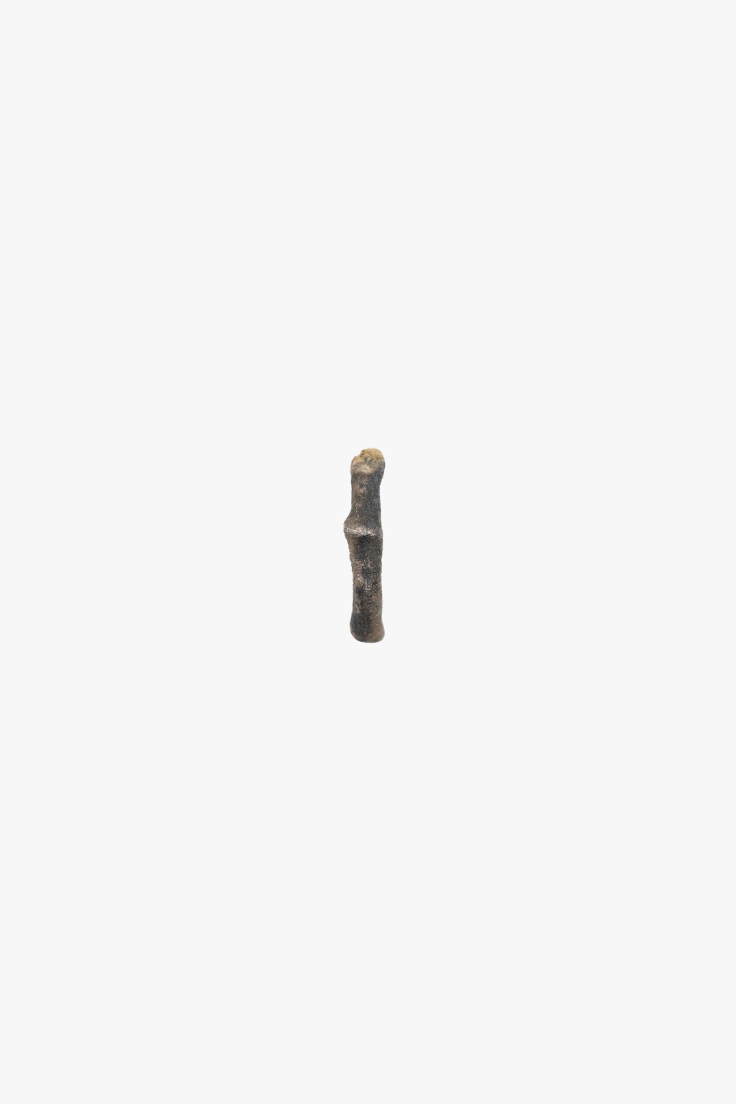 BONE Ring No.3 with 9ct gold