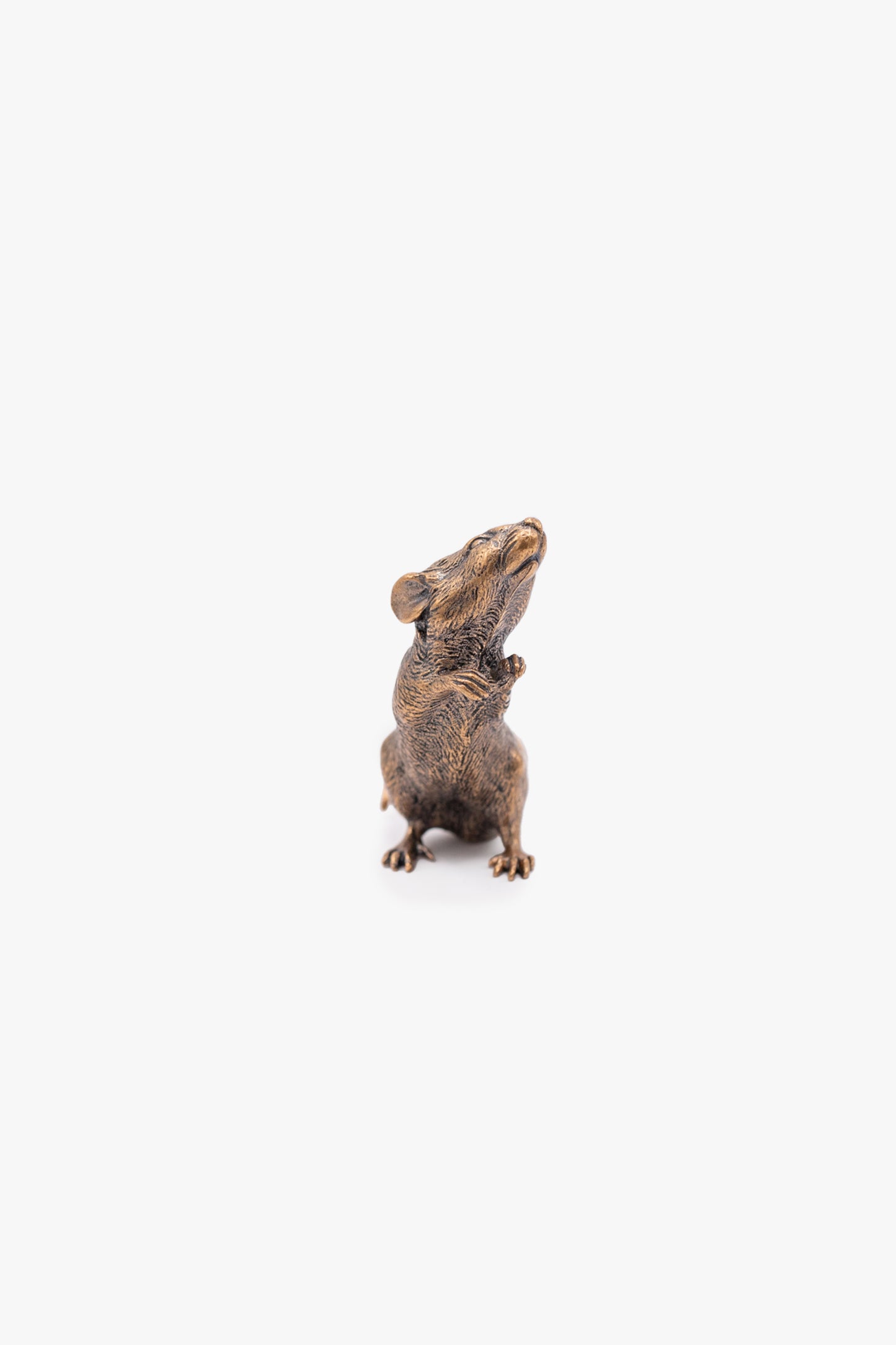 MOUSE SILVER BRASS