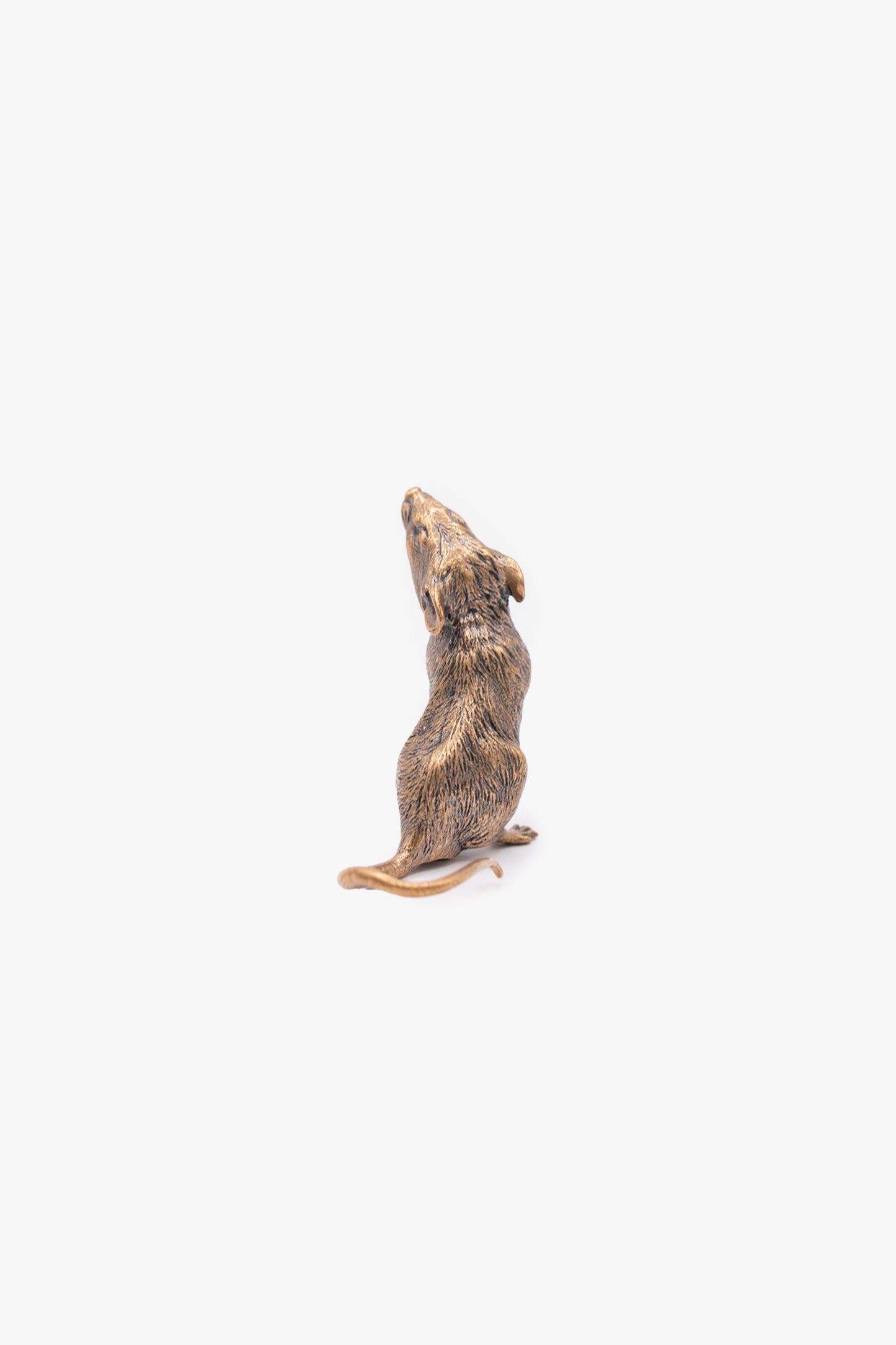MOUSE SILVER BRASS
