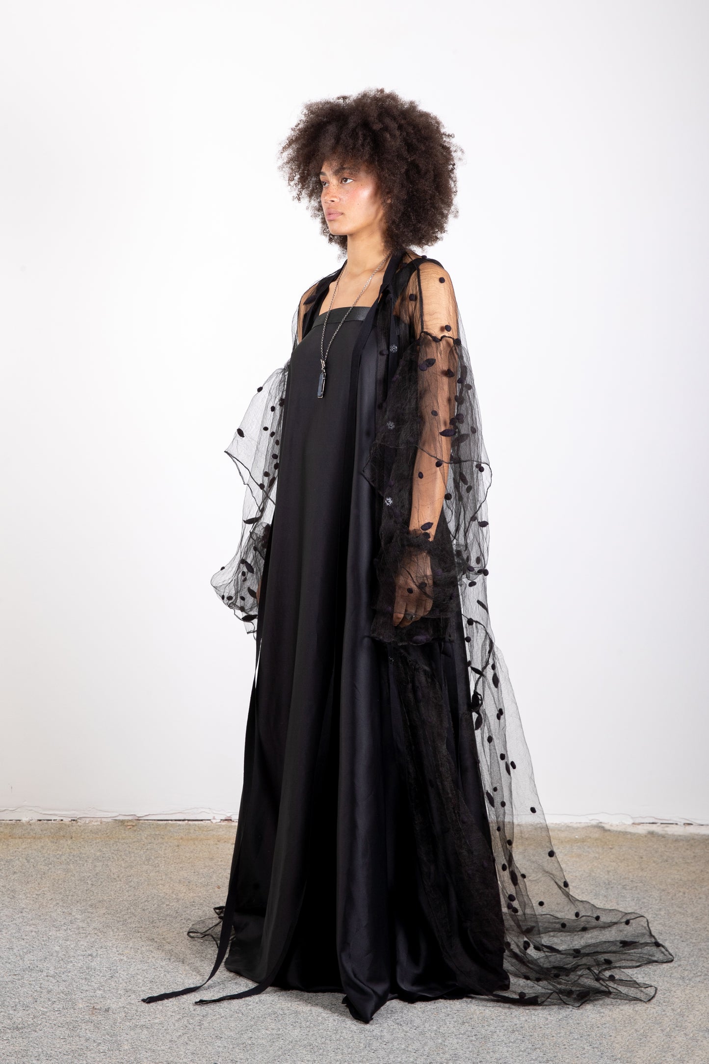 Transparent silk dress