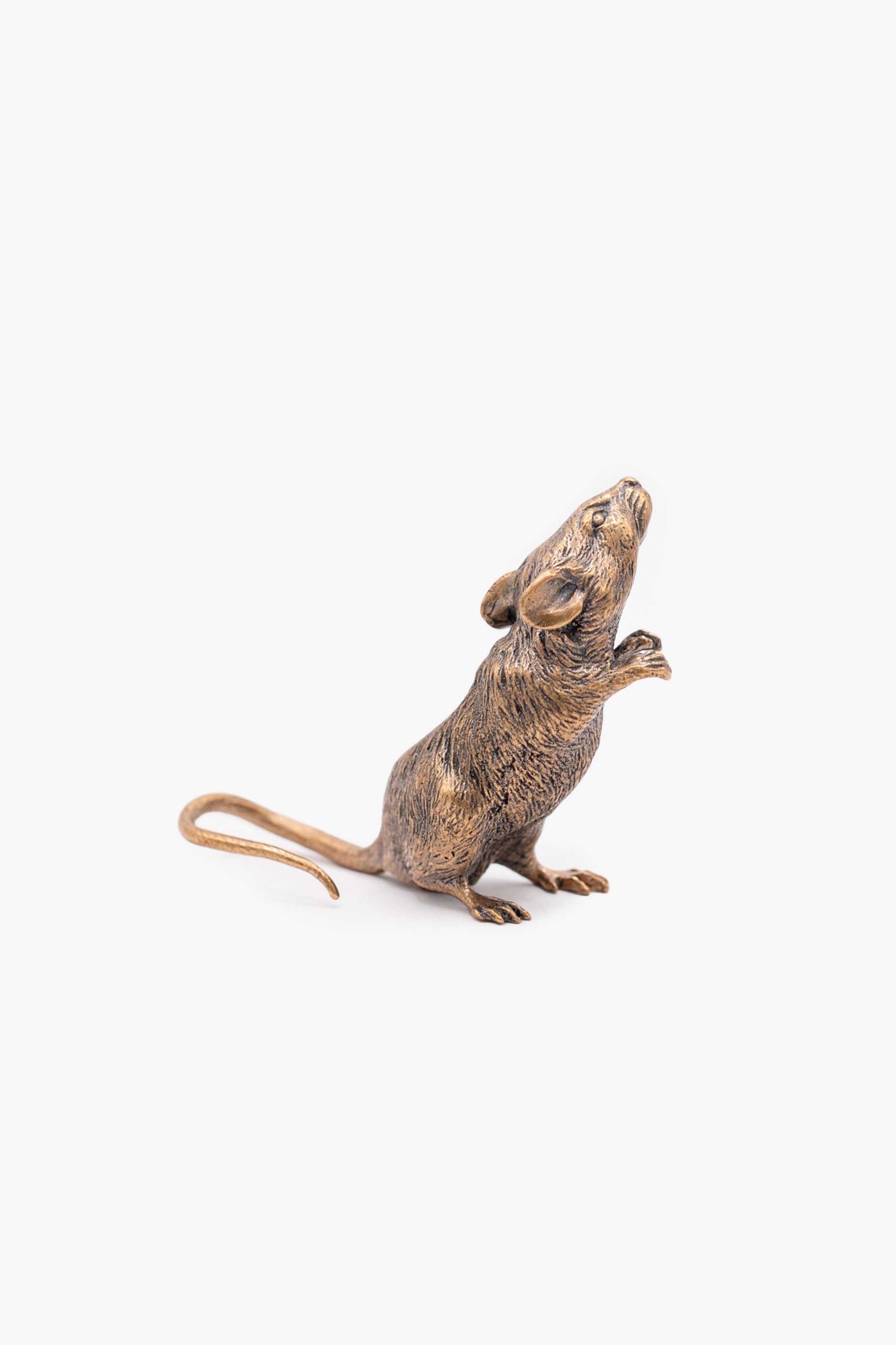 MOUSE SILVER BRASS