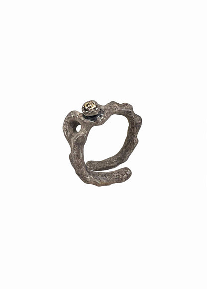 Bone ring No.6 for Renli Su