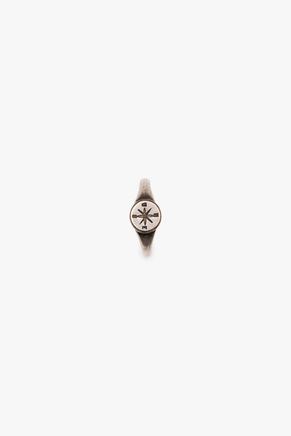 Ring symbol wind rose